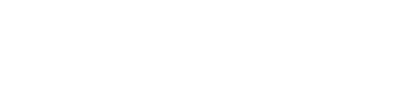 SouthEagle Cleaning Services